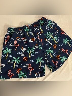Chubbies Mens Swim Trunks
XL Navy Neon Lights  5.5" Inseam